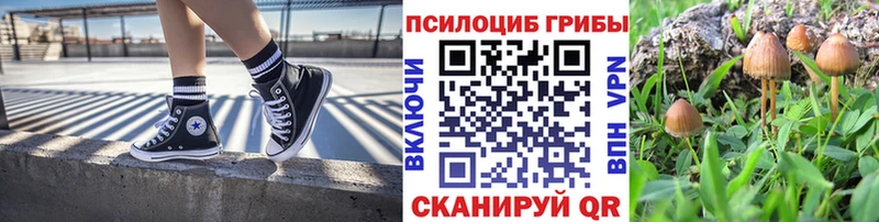 купить наркоту  Кызыл  Галлюциногенные грибы Cubensis 